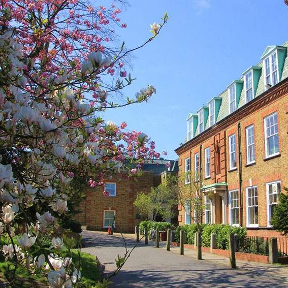 Mycenae House, Blackheath