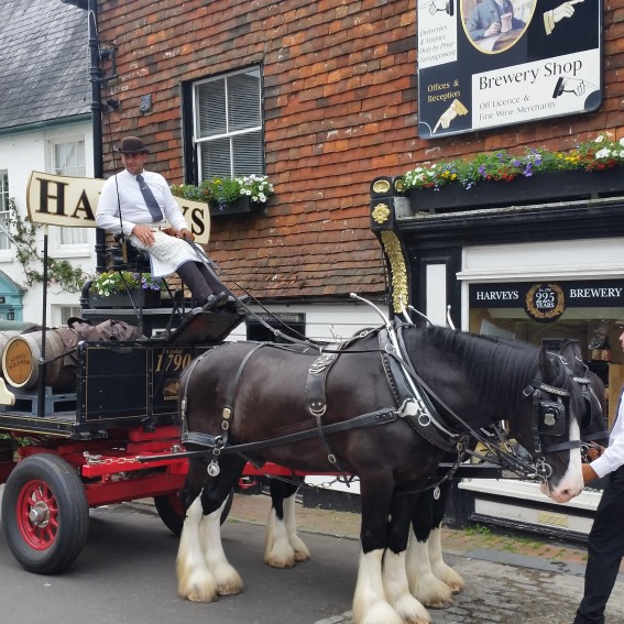 Harvey's horse and dray cart out delivering beer