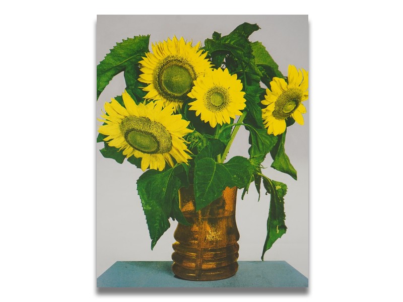 Michelangelo Pistoletto, Italian b. 1933, 'Girasoli (Sunflowers)' Michelangelo Pistoletto, Italian b. 1933, 'Girasoli (Sunflowers)'